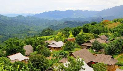 Kho Thịt Gà Đông Lạnh Giá Sỉ tại Huyện Vân Hồ Sơn La