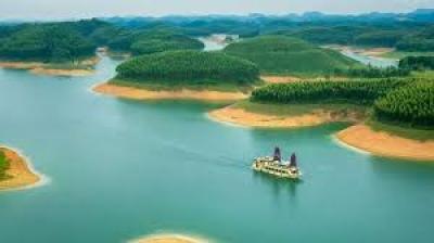 Thịt Gà Đông Lạnh Nhập Khẩu Giá Sỉ Tai Huyện Yên Bình, Yên Bái