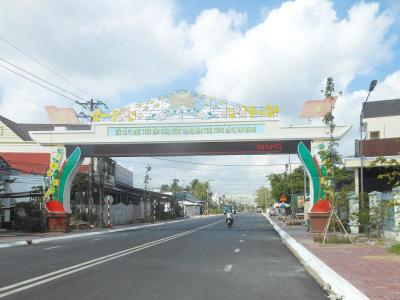 Vifoods- Chuyên Sỉ Lẻ Gà Thịt Đông Lạnh Huyện Cù Lao Dung Sóc Trăng