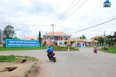 Vifoods- Chuyên Sỉ Lẻ Gà Thịt Đông Lạnh Huyện Long Phú Sóc Trăng