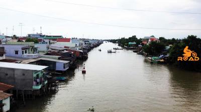 Vifoods- Chuyên Sỉ Lẻ Gà Thịt Đông Lạnh Huyện Trần Đề Sóc Trăng